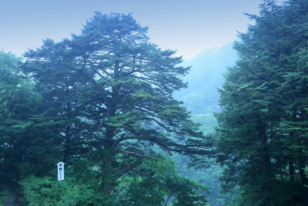 Tsuganoki Nikko Exterior foto